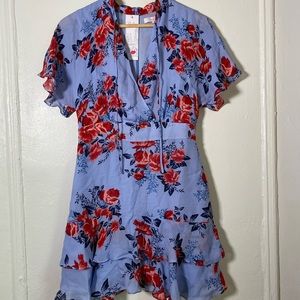 PARKER SILK DRESS new with tags original $298